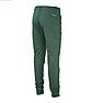 Wildcraft Women Joggers (Camping Pants) Green