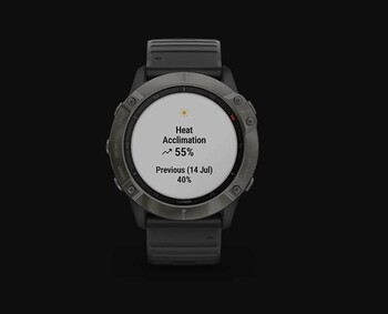 Garmin Smart Watch Fenix 6x Carbon Grey Black