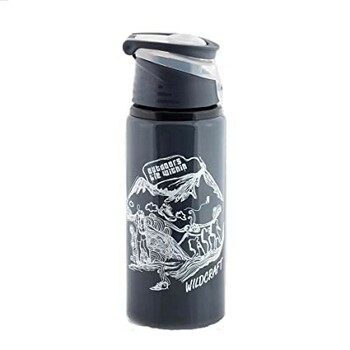 Wildcraft Aluminum Bottle 650 ml