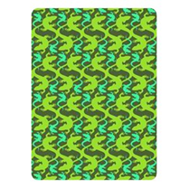 4Fun Lizard Green Standard Scarf