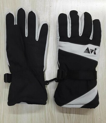 Avi Insulated Gloves