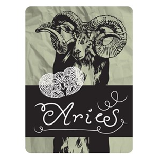 4Fun Aries Standard Scarf