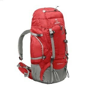 Wildcraft Karakoram Rucksack -Red