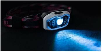 Coleman CHT+80 Berry  Led Head Lamp