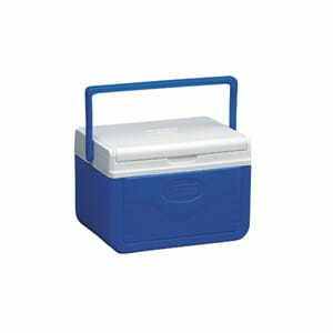 Coleman Cooler 5QT W Shield GLBL