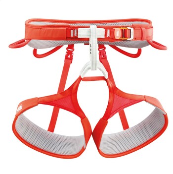 Petzl Hirundos Climbing Harness