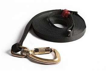 210 Perfect Descent Replacement Lanyard