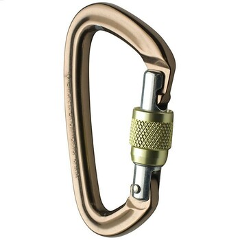 Black Diamond Positron Screwgate Carabiner