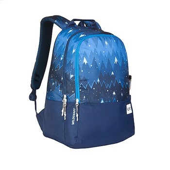 Wildcraft Wiki 1 Ombre School Bag Backpack