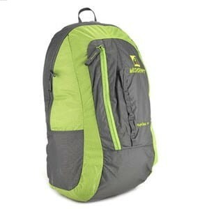 Wildcraft Nuptse 20 Green/Grey