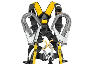 Newton international version harness