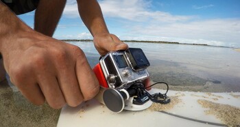 GoPro The Tool (Thumb Screw Wrench + Bottle Opener)