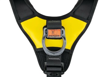 Petzl AVAOÂ® BOD FAST International Version Body Harness