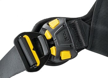 Petzl AVAOÂ® BOD FAST International Version Body Harness